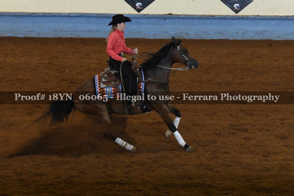 Proof 18YN_06065
