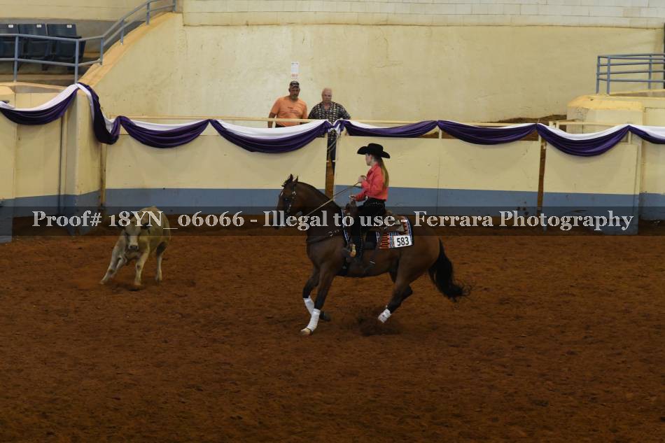 Proof 18YN_06066