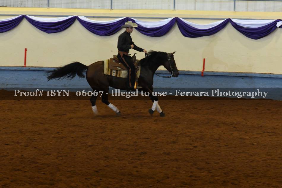 Proof 18YN_06067