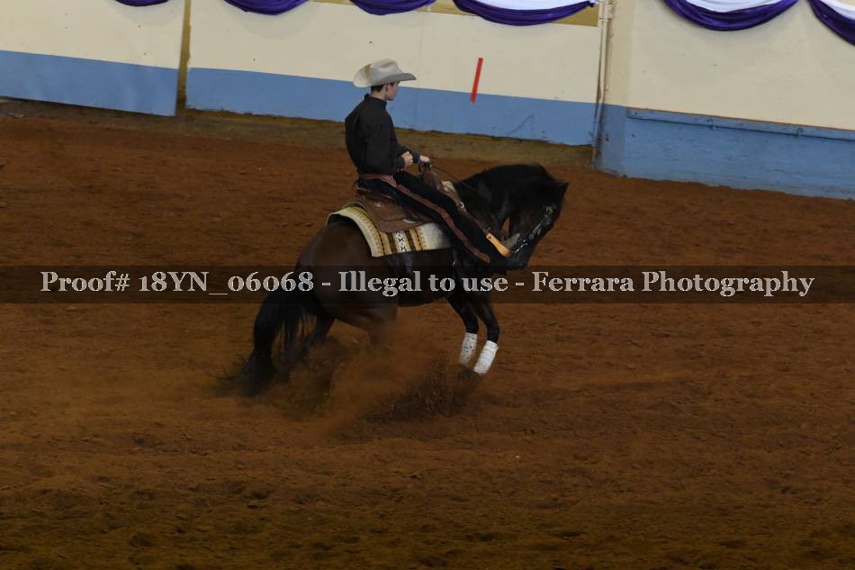 Proof 18YN_06068