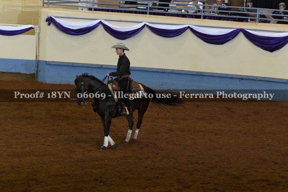 Proof 18YN_06069