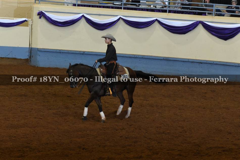 Proof 18YN_06070