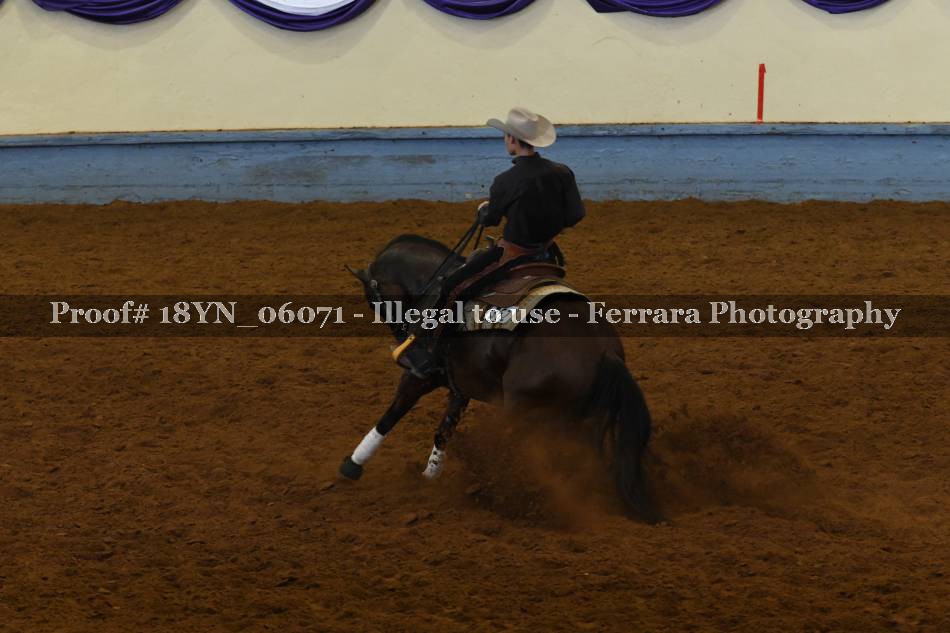 Proof 18YN_06071