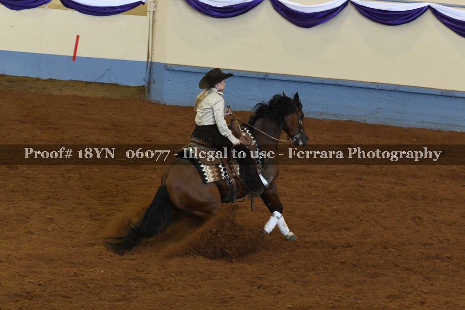 Proof 18YN_06077