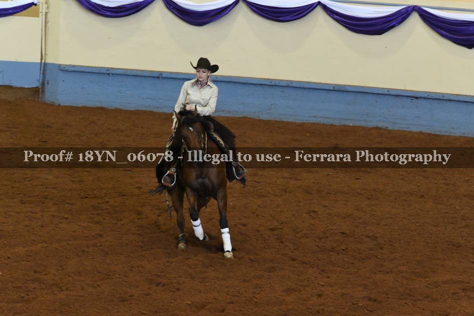 Proof 18YN_06078