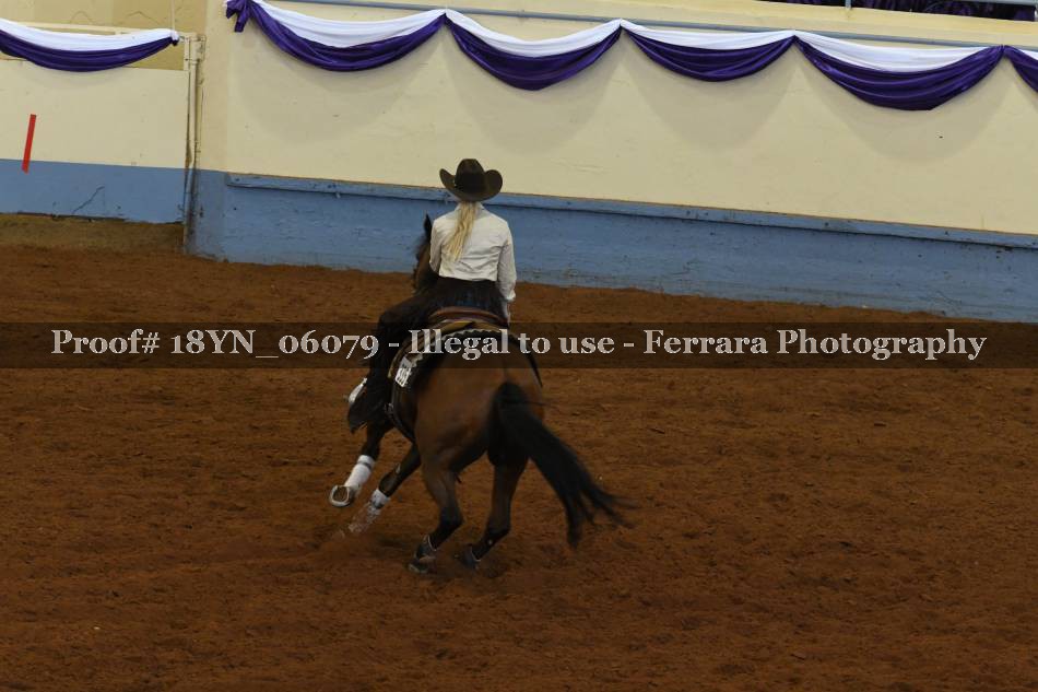 Proof 18YN_06079