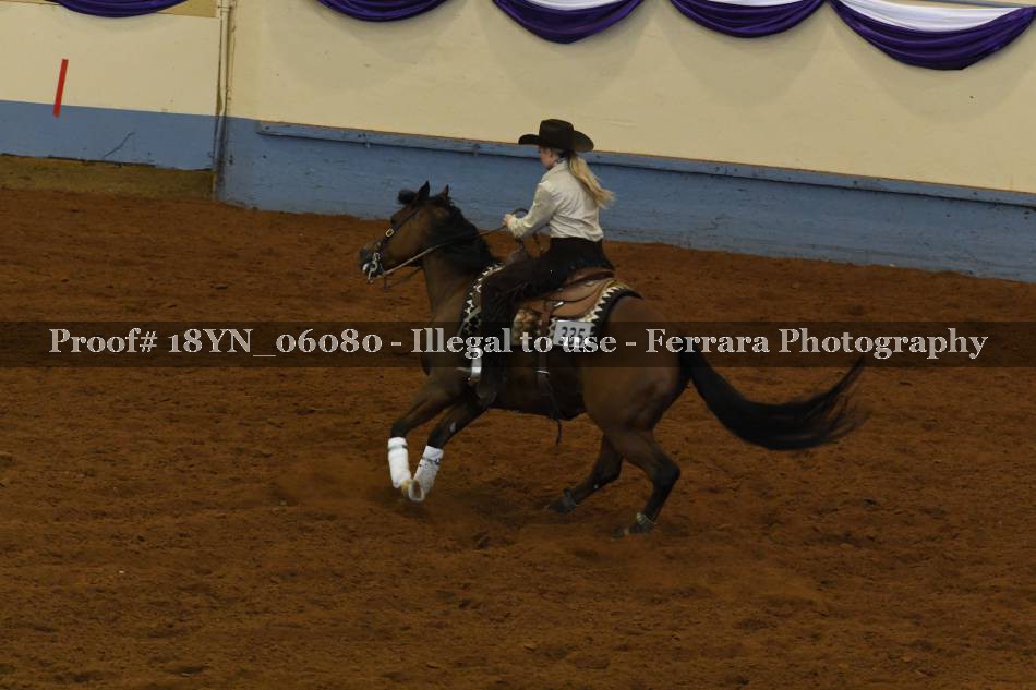 Proof 18YN_06080