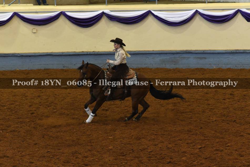 Proof 18YN_06085