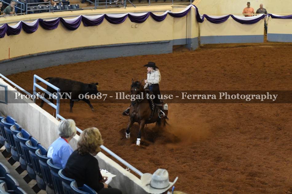 Proof 18YN_06087