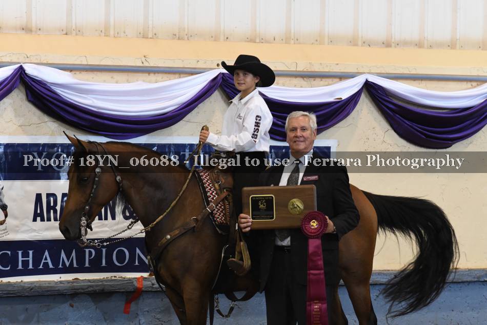 Proof 18YN_06088