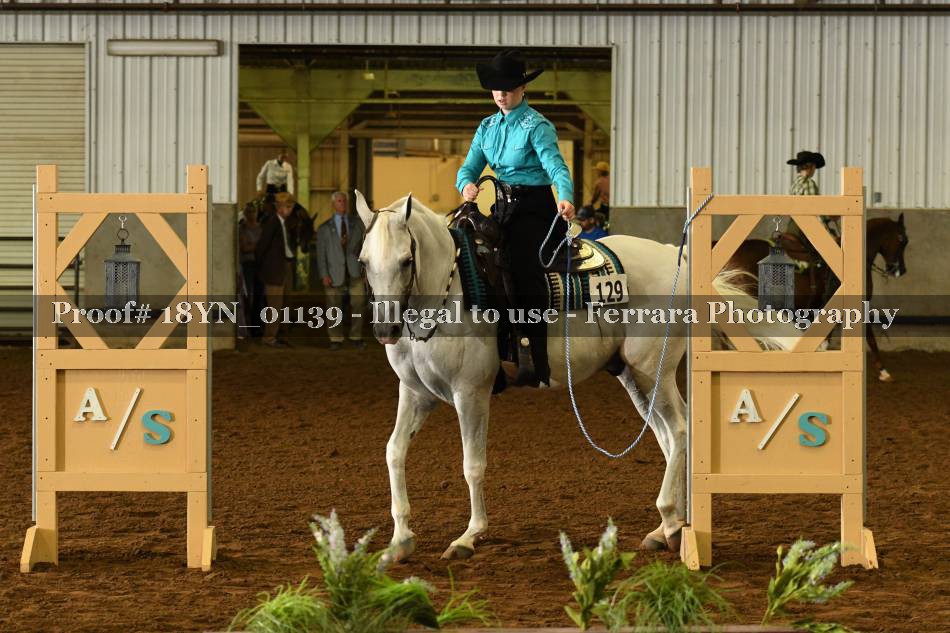 Proof 18YN_01139