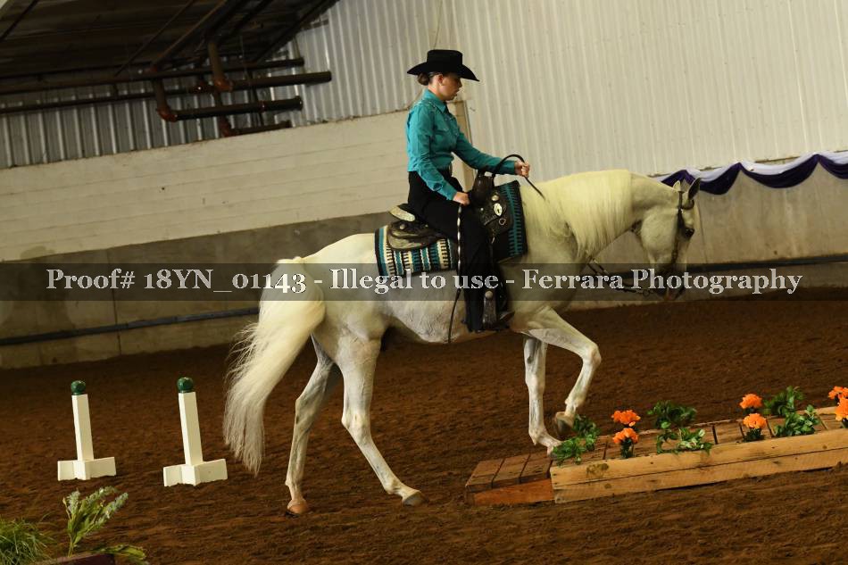 Proof 18YN_01143