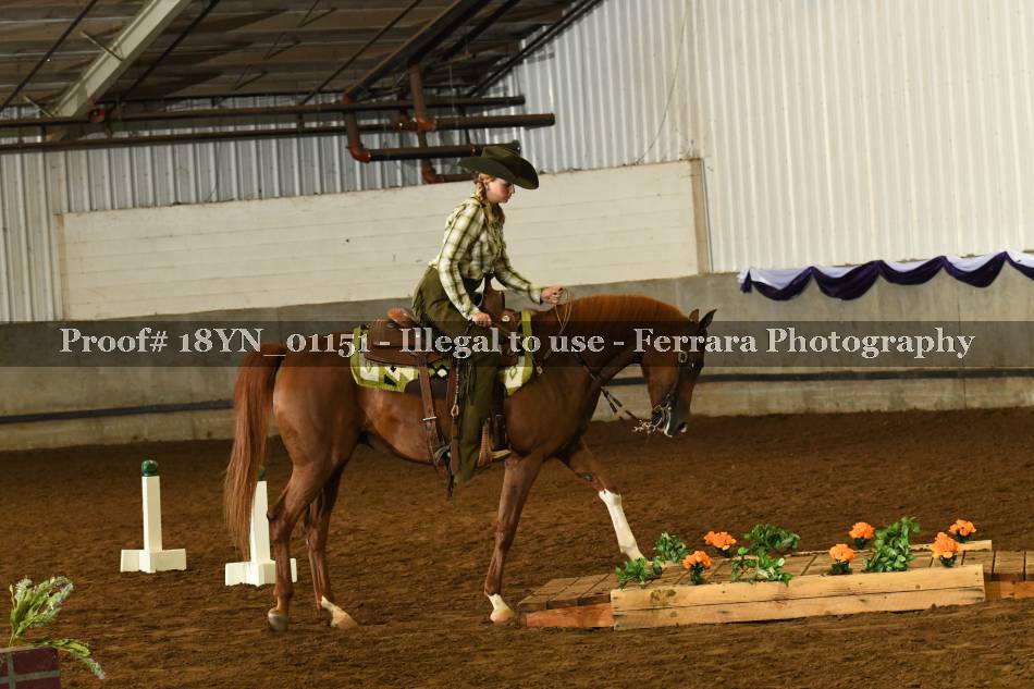 Proof 18YN_01151