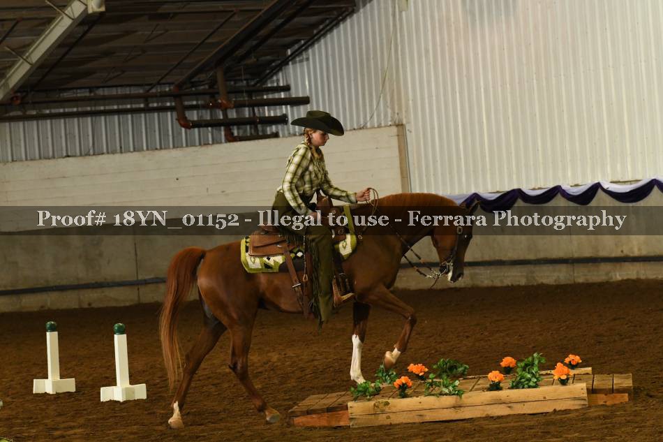 Proof 18YN_01152