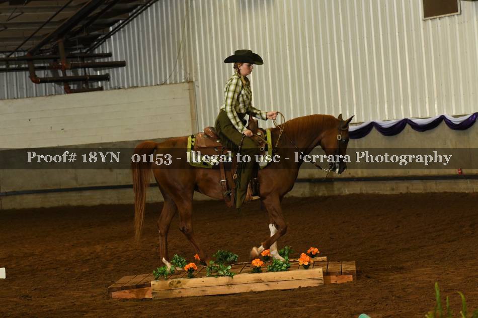 Proof 18YN_01153