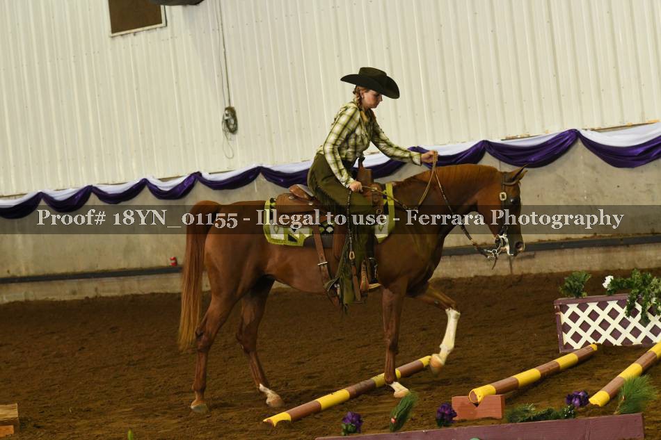 Proof 18YN_01155