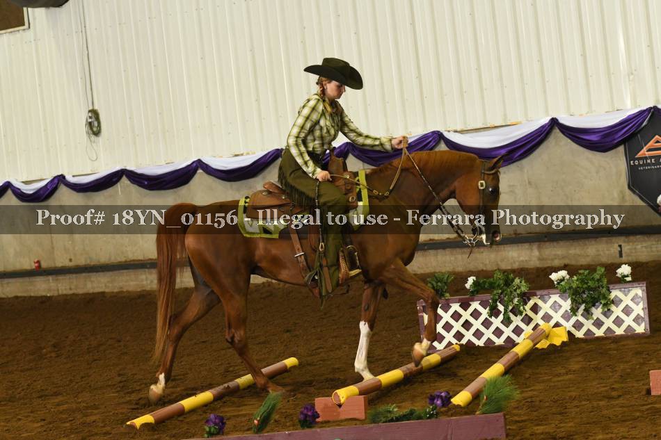Proof 18YN_01156