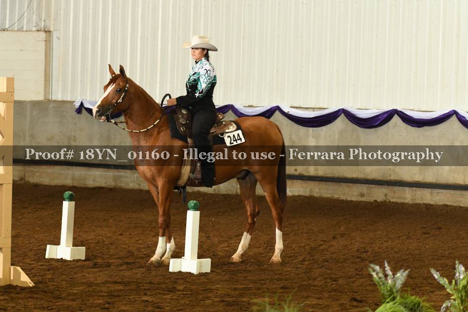 Proof 18YN_01160
