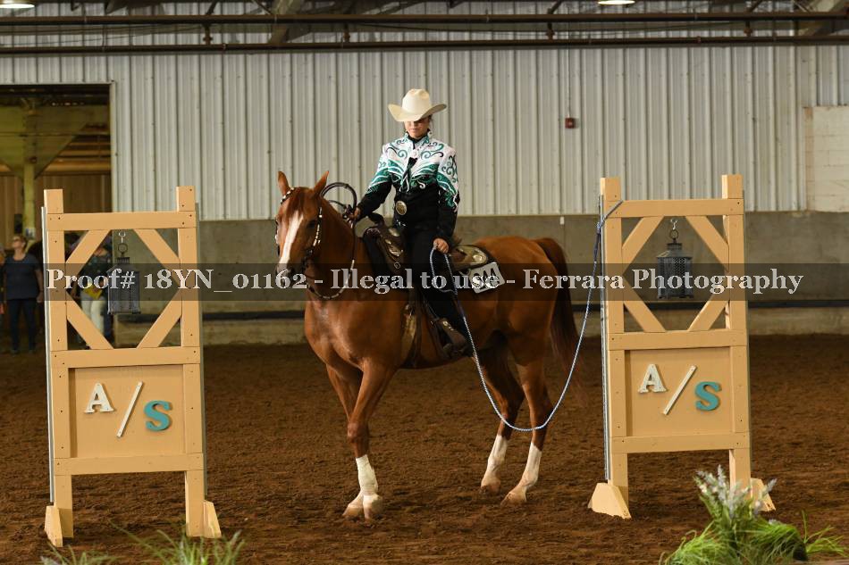 Proof 18YN_01162