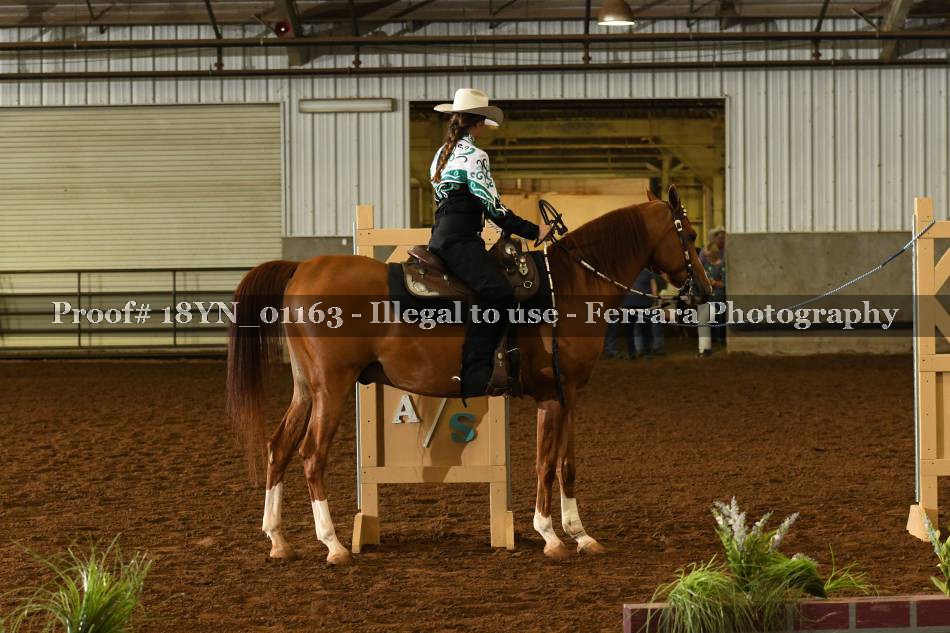 Proof 18YN_01163