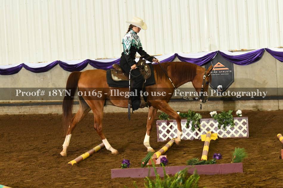 Proof 18YN_01165