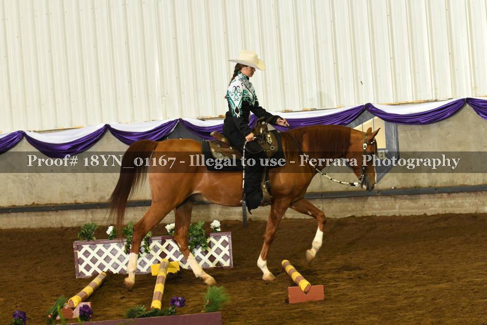 Proof 18YN_01167