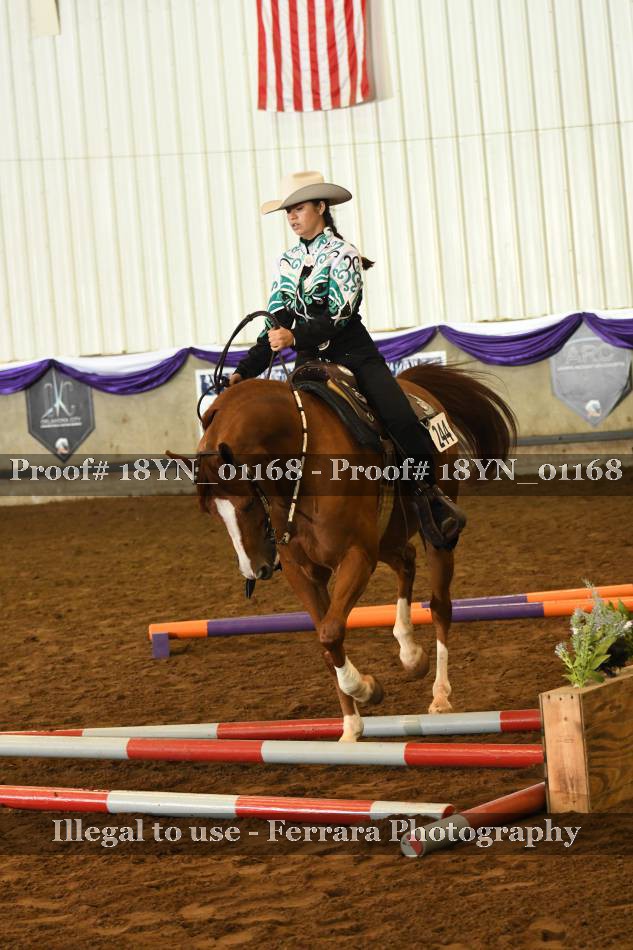 Proof 18YN_01168