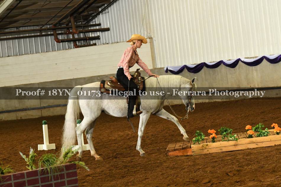 Proof 18YN_01173