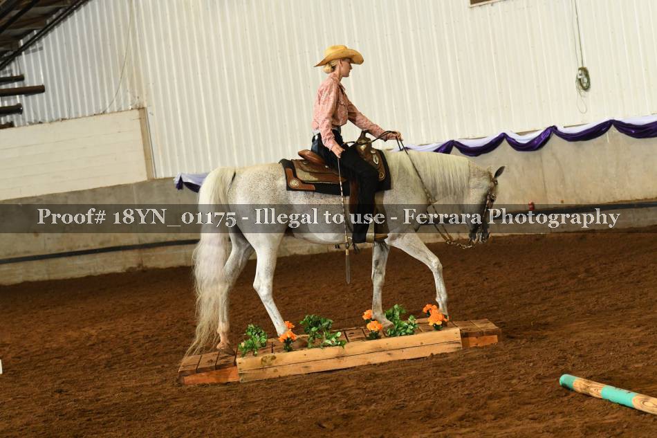 Proof 18YN_01175