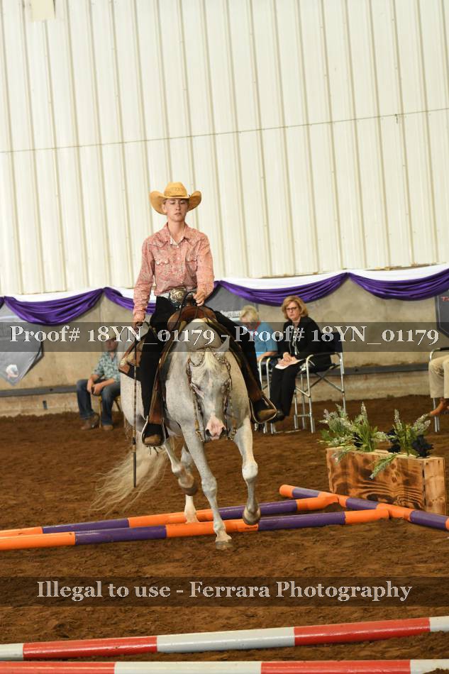 Proof 18YN_01179