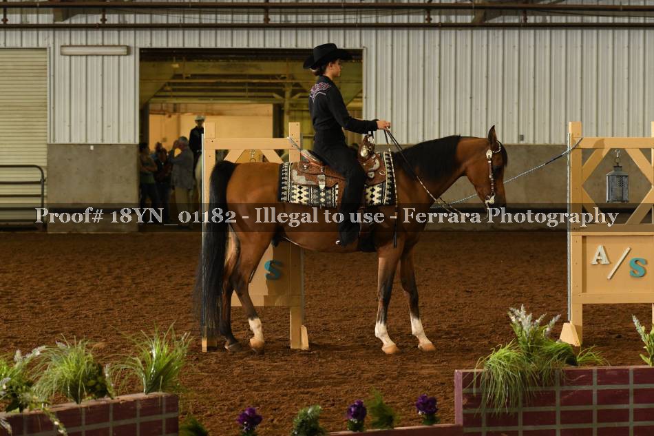 Proof 18YN_01182