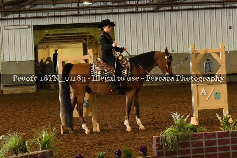 Proof 18YN_01183