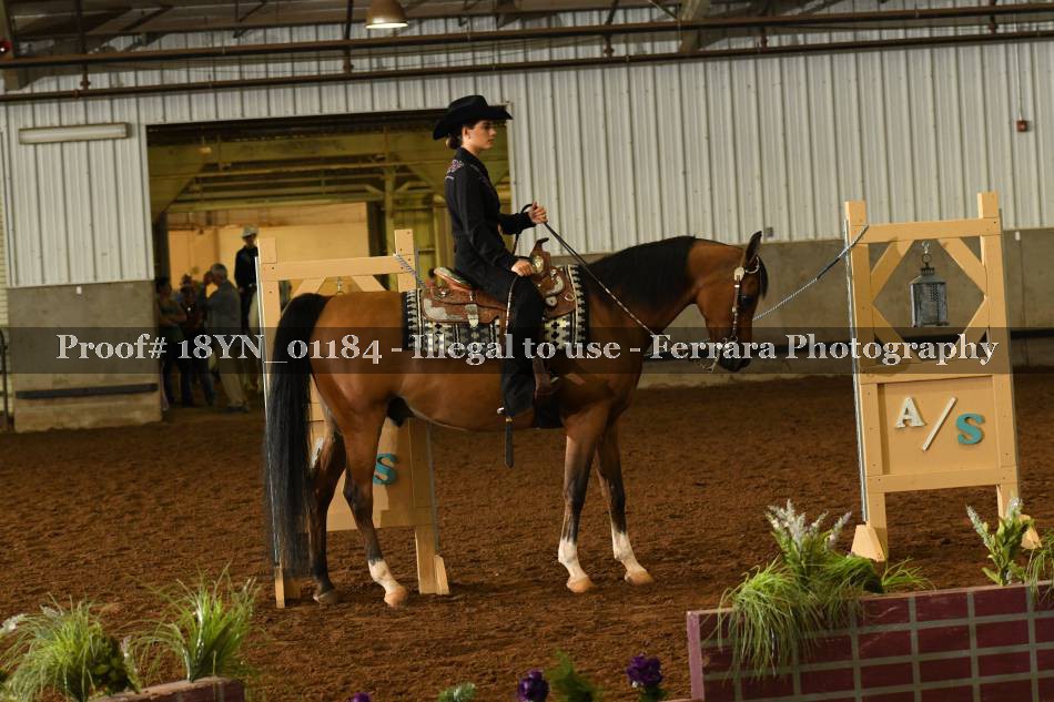 Proof 18YN_01184