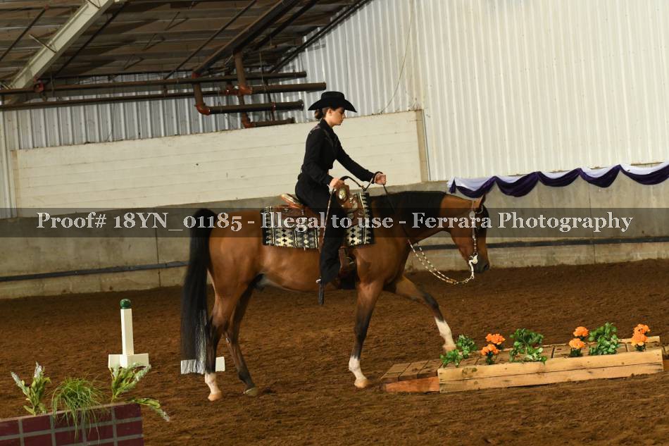 Proof 18YN_01185