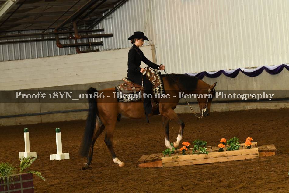 Proof 18YN_01186