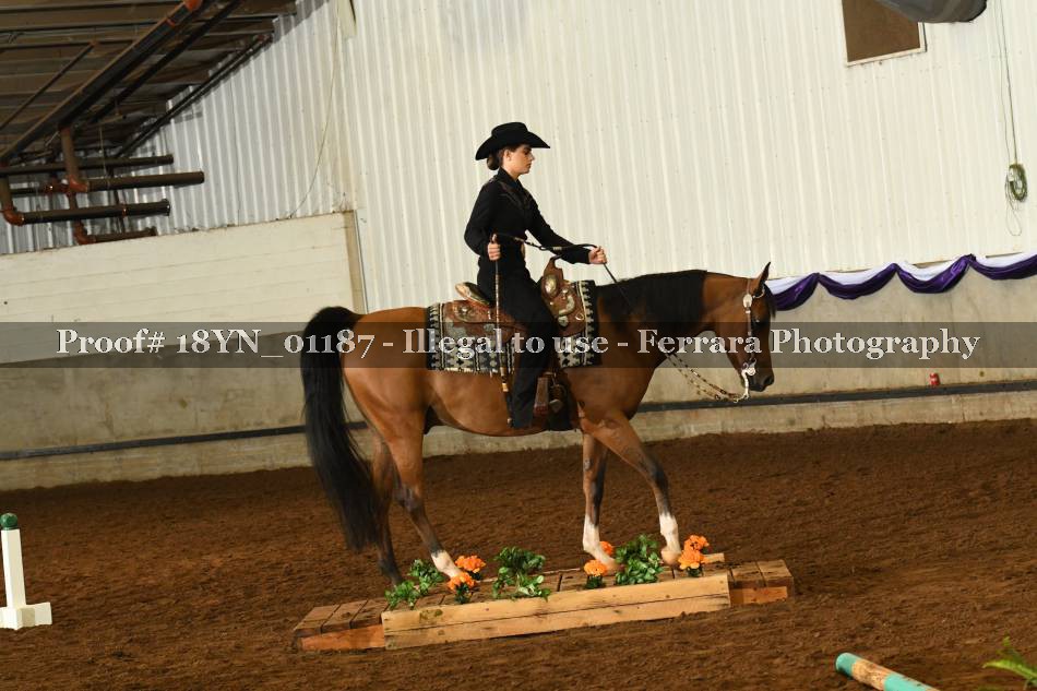 Proof 18YN_01187