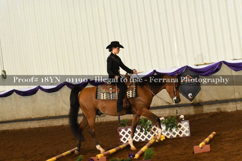 Proof 18YN_01190