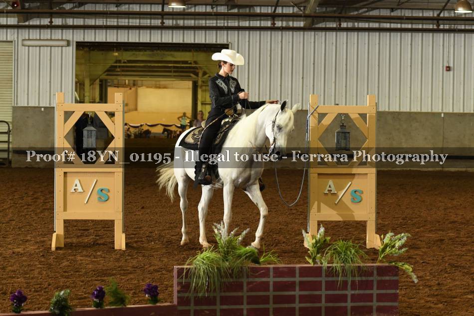 Proof 18YN_01195