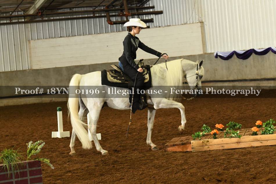 Proof 18YN_01196