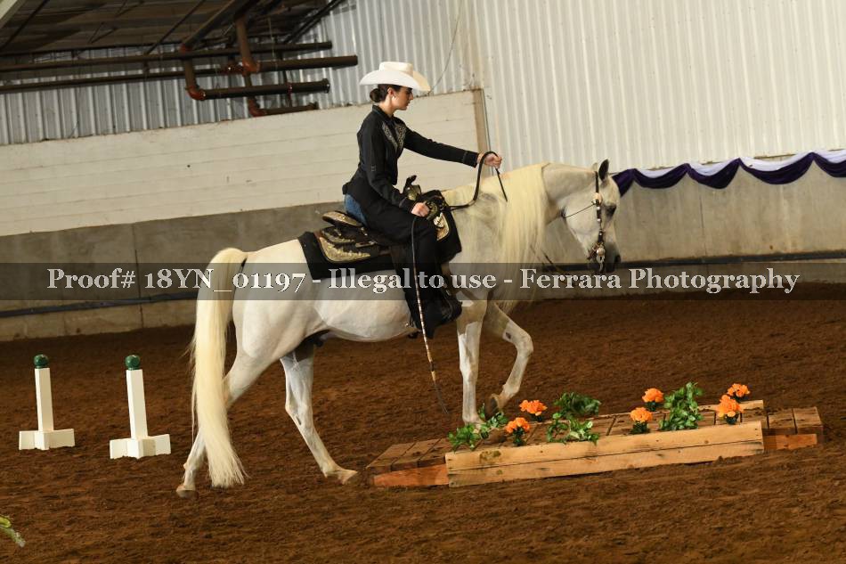 Proof 18YN_01197