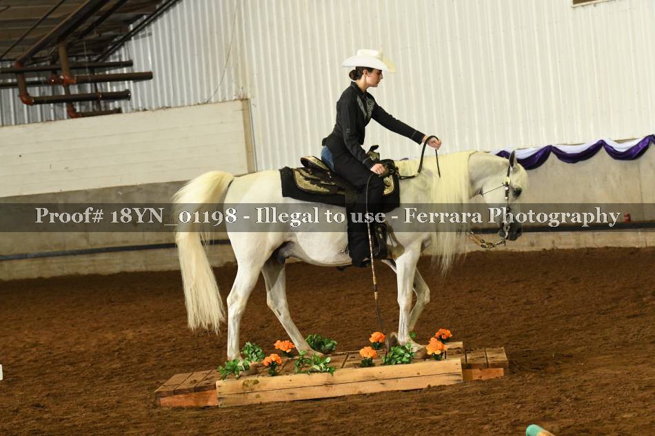 Proof 18YN_01198