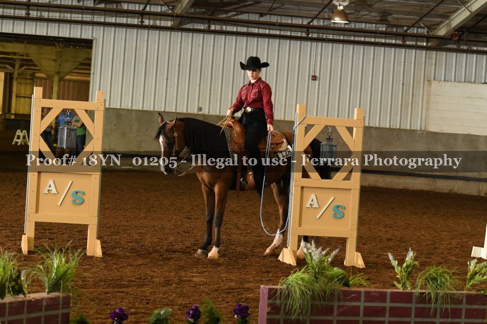 Proof 18YN_01205