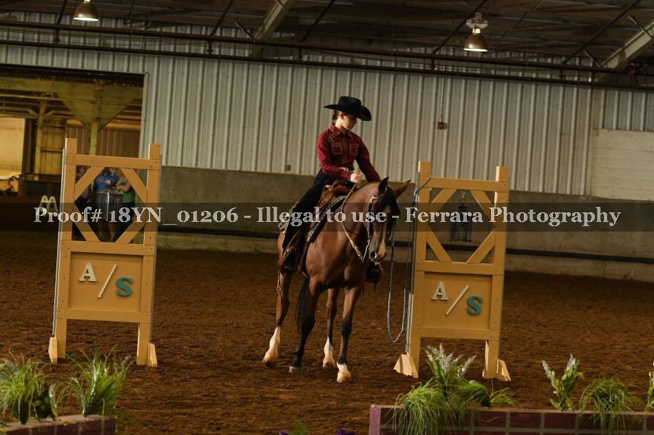 Proof 18YN_01206