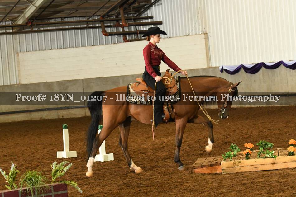 Proof 18YN_01207