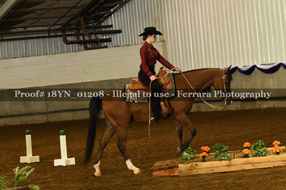 Proof 18YN_01208