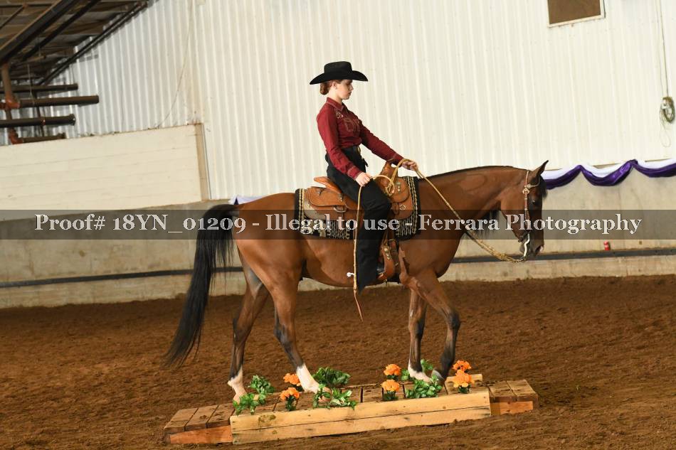 Proof 18YN_01209
