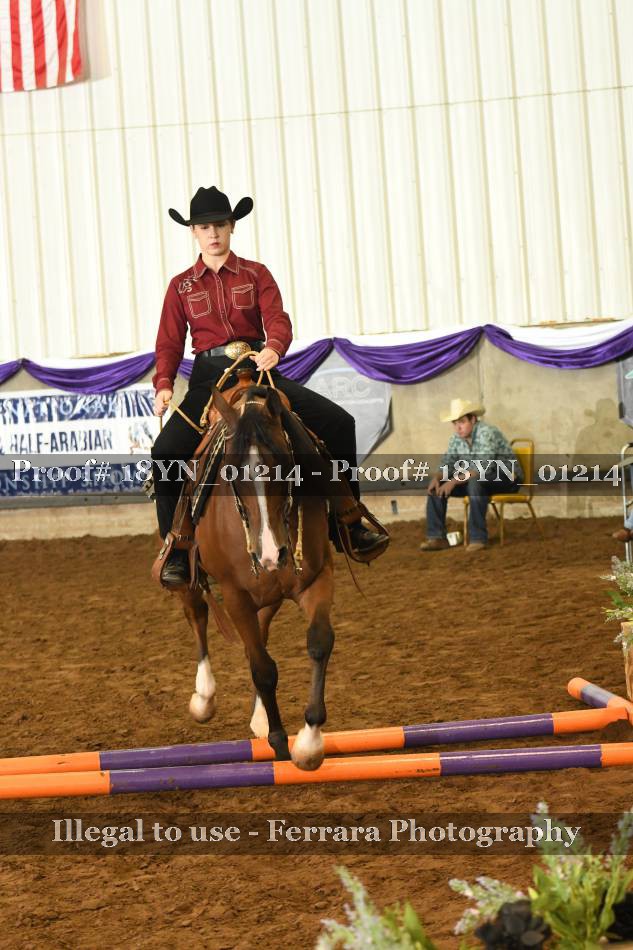 Proof 18YN_01214