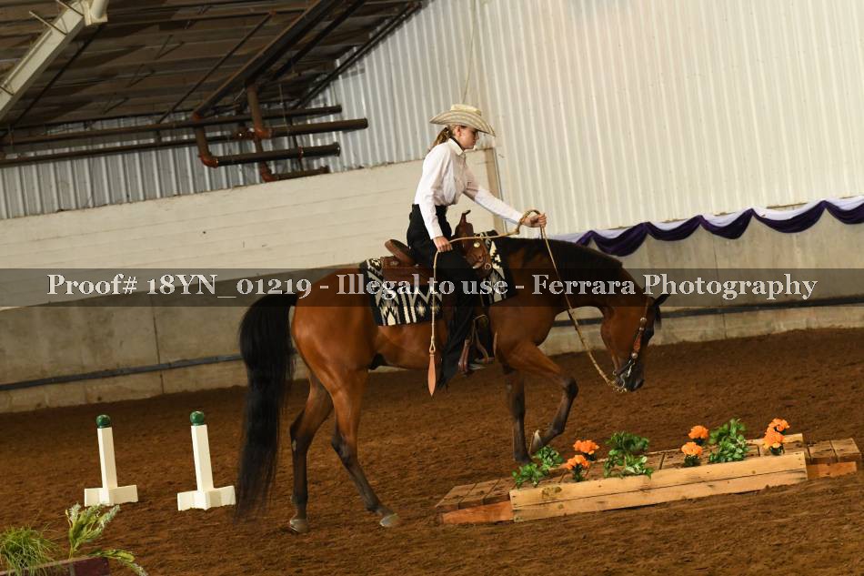 Proof 18YN_01219