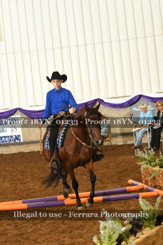 Proof 18YN_01233