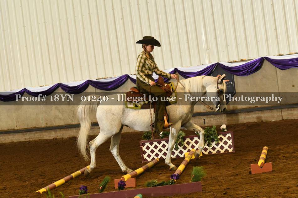 Proof 18YN_01240